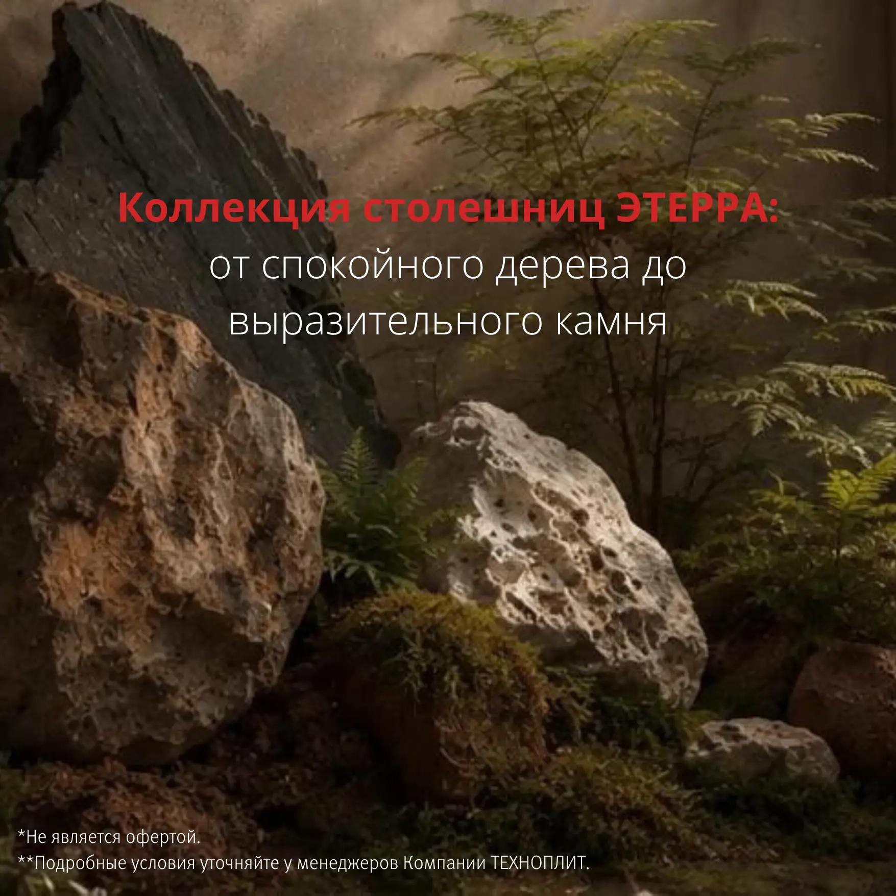 Палитра ЭТЕРРА: от спокойного дерева до выразительного камня