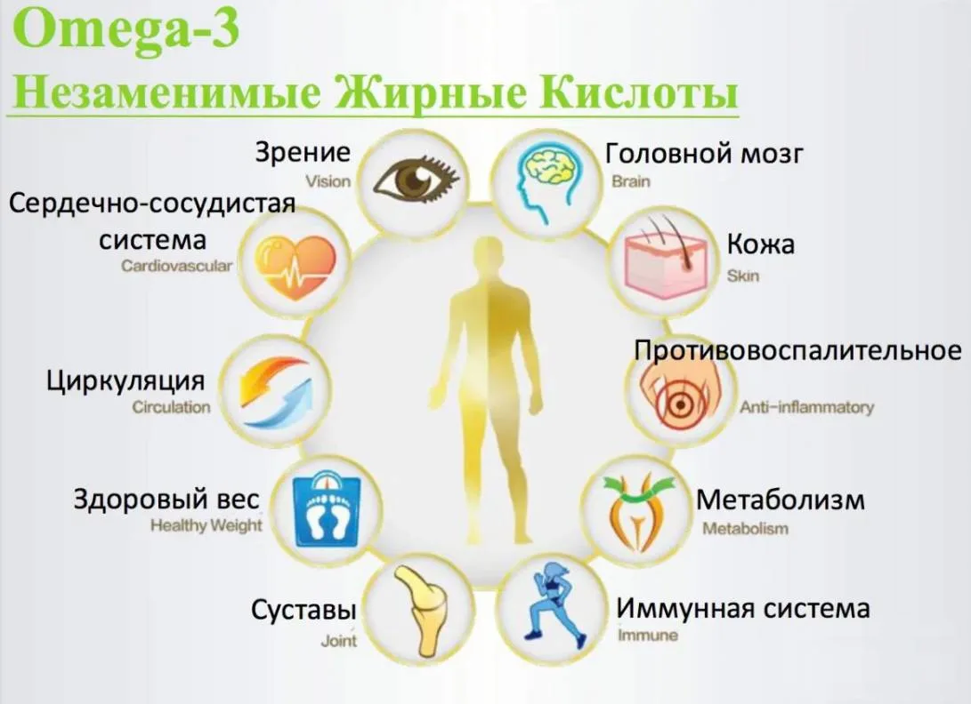 Кому и зачем принимать Омега-3?

▶️Постоянные стрессы, усталость, тревожность

▶️Плохой сон и рассея