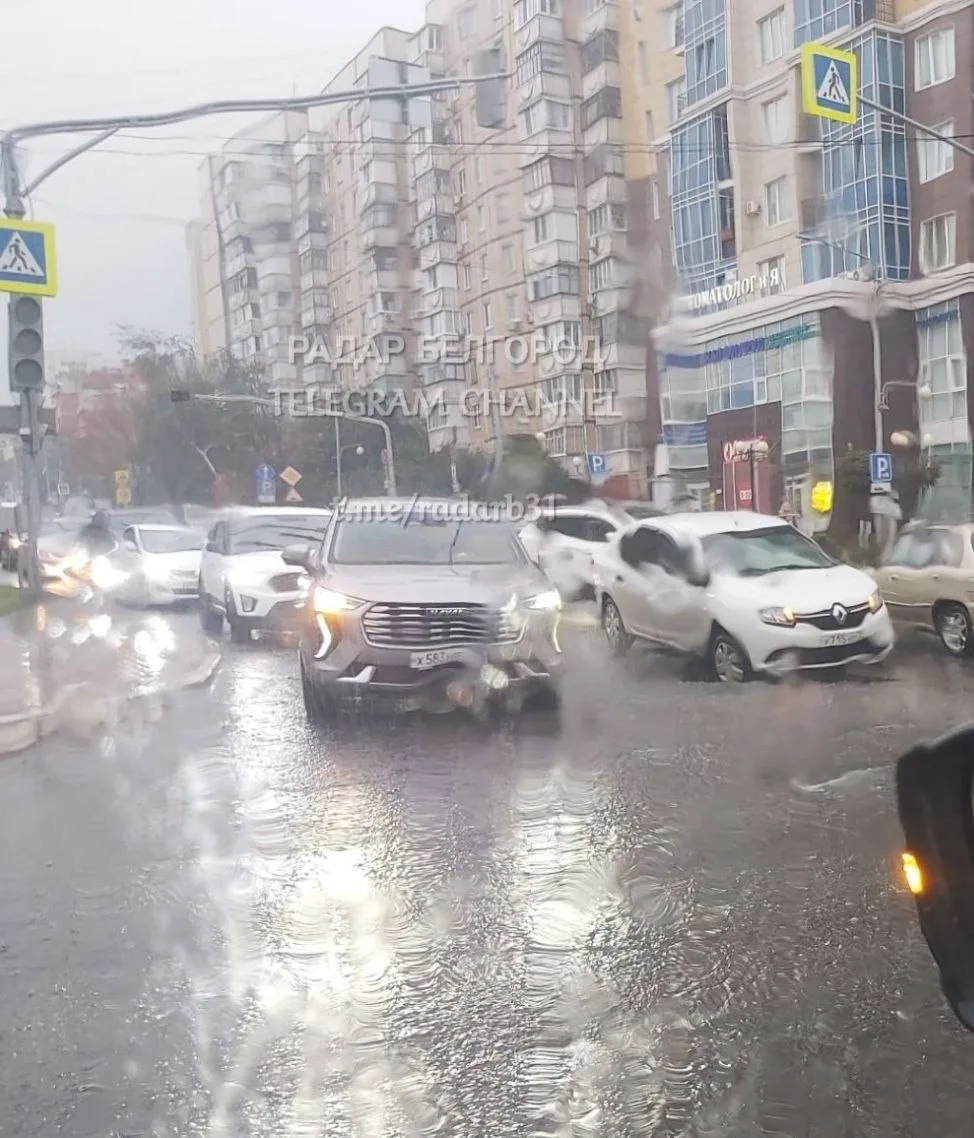 Дождь устроил целый утренний квест для белгородцев: