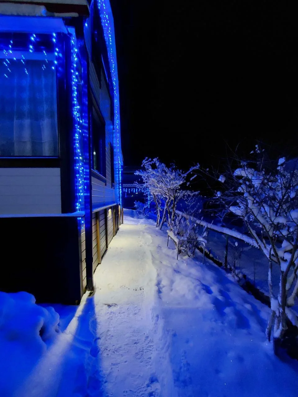 🎄Многие из наших коллег решили отдохнуть от городской суеты на своих дачах. На новогод...