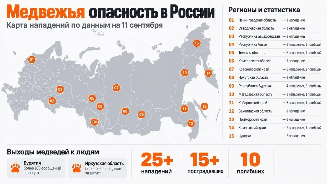 ⚡️Рекордное за последние годы число нападений медведей зафиксировано в России… — публикация канала «Политика СВО Сводки»