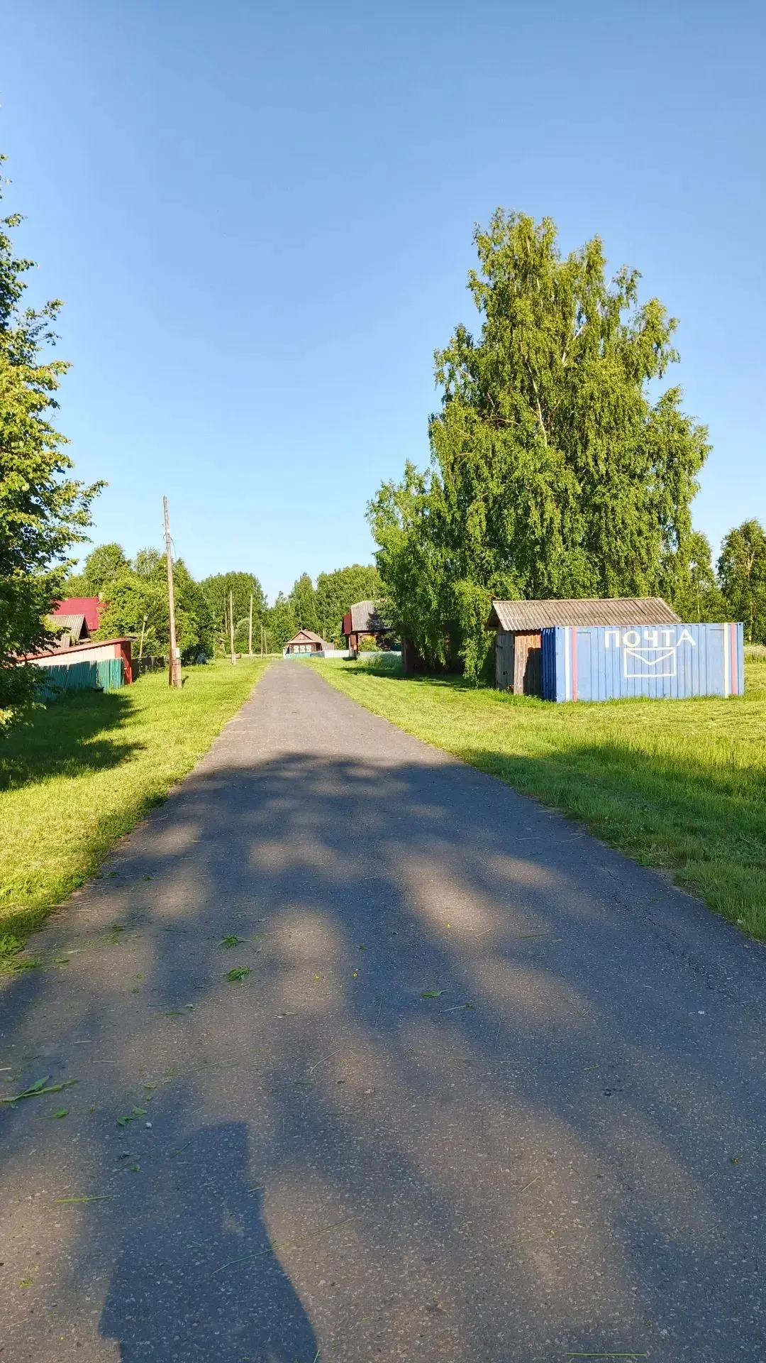 В населённых пунктах  Бердниковского территориального отдела продолжается скашивание тр...
