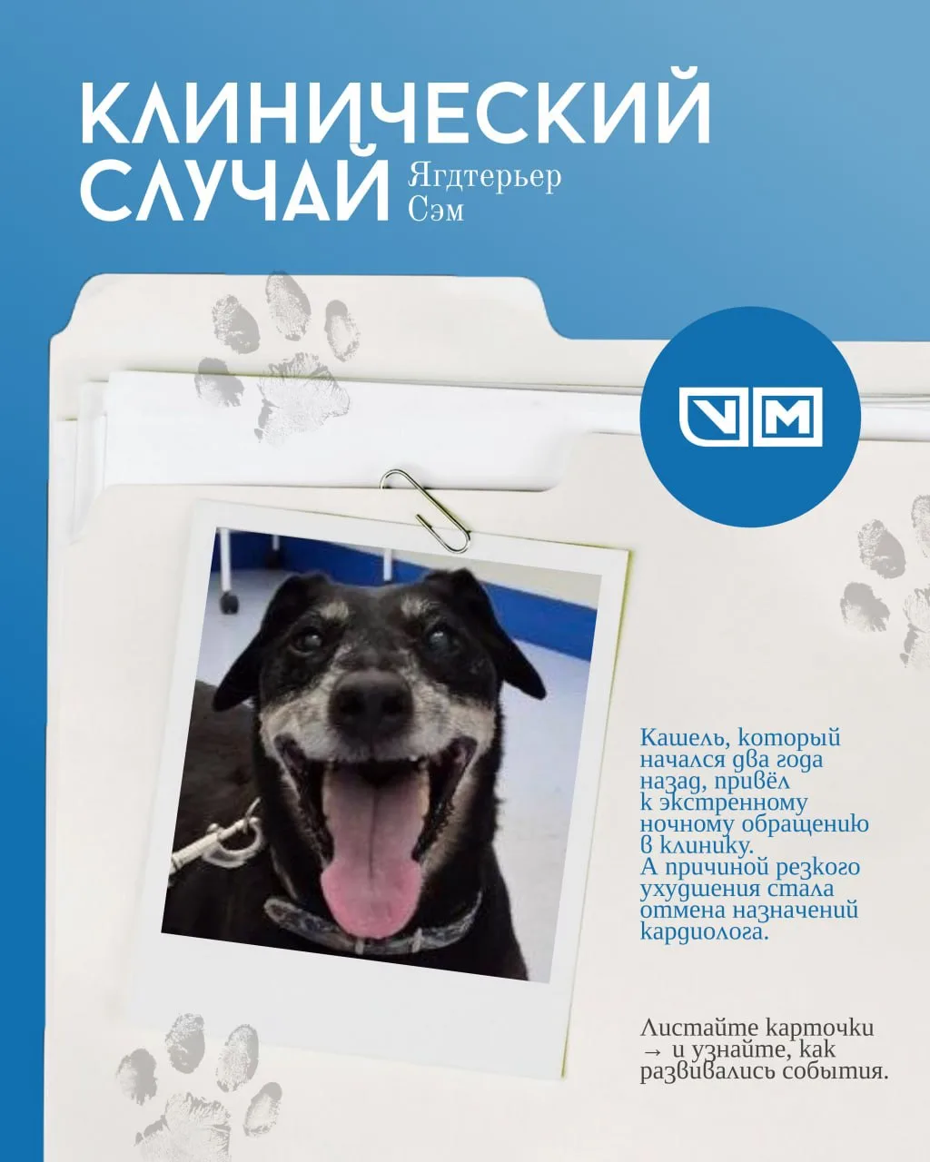 🐾 КЛИНИЧЕСКИЙ СЛУЧАЙ | Ягдтерьер Сэм

Самостоятельная отмена кардиологической терапии — одна из при
