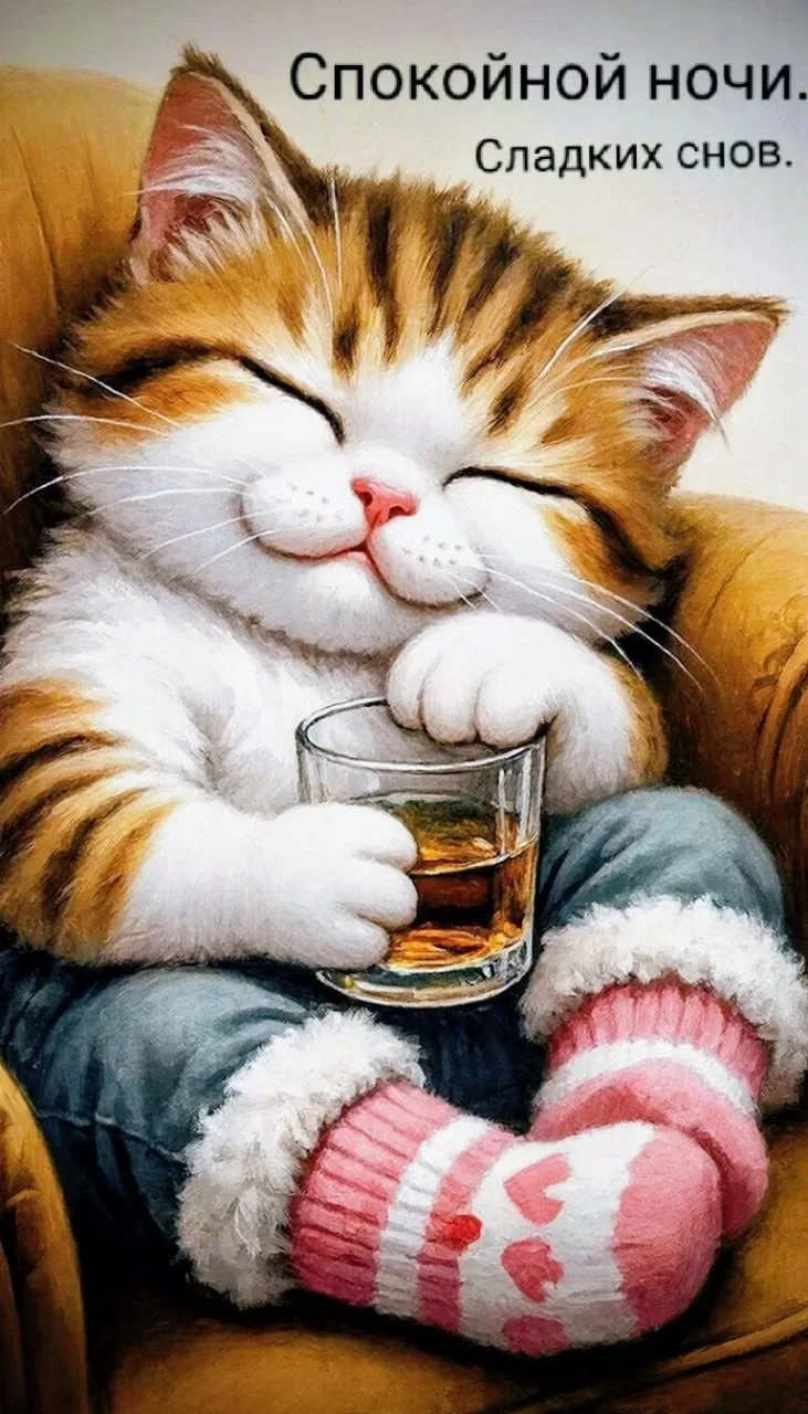 Спокойной ночи 🌙 
 
👉Лучшие Открытки в MAX 👈 
👉 Перейти на канал 👈