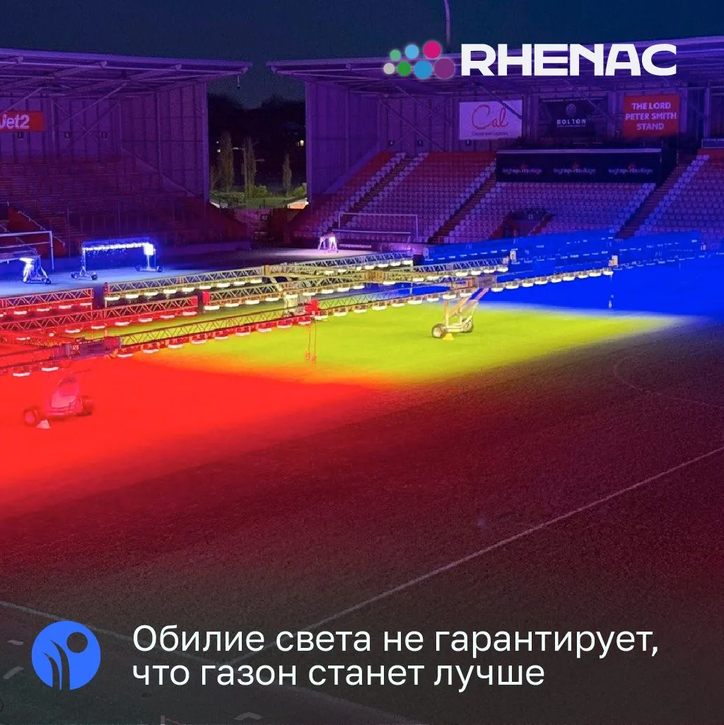 💡 Обилие света не гарантирует, что газон станет лучше