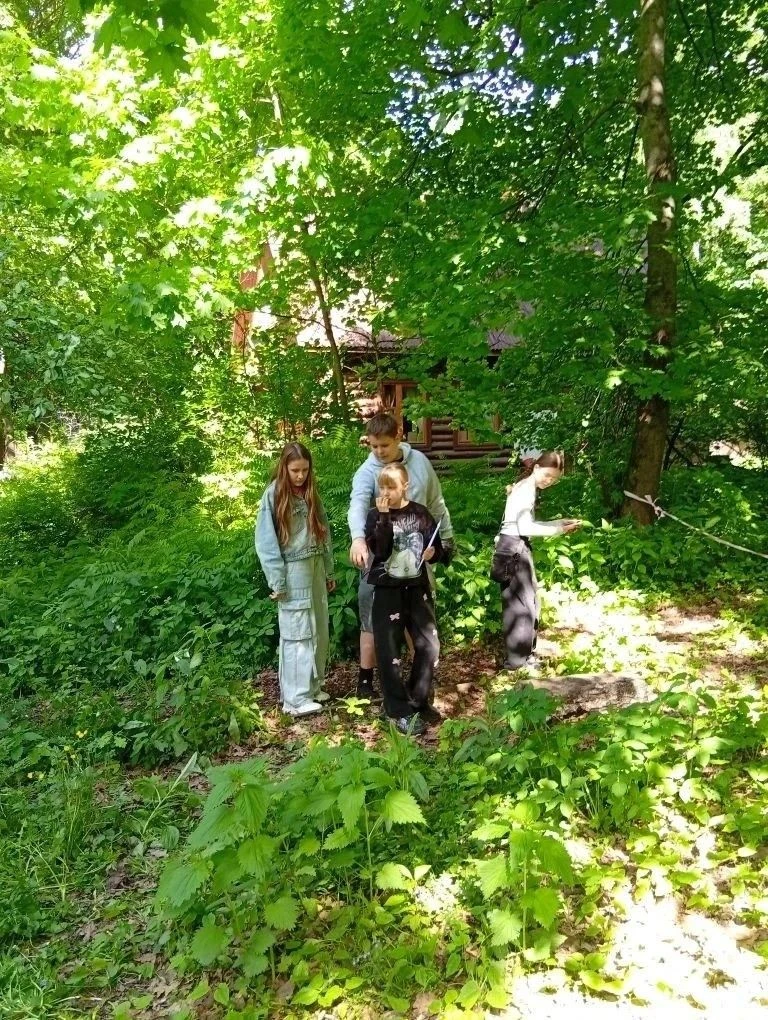 🌿 Юные экологи 5 «К» – на «Зеленой олимпиаде»!