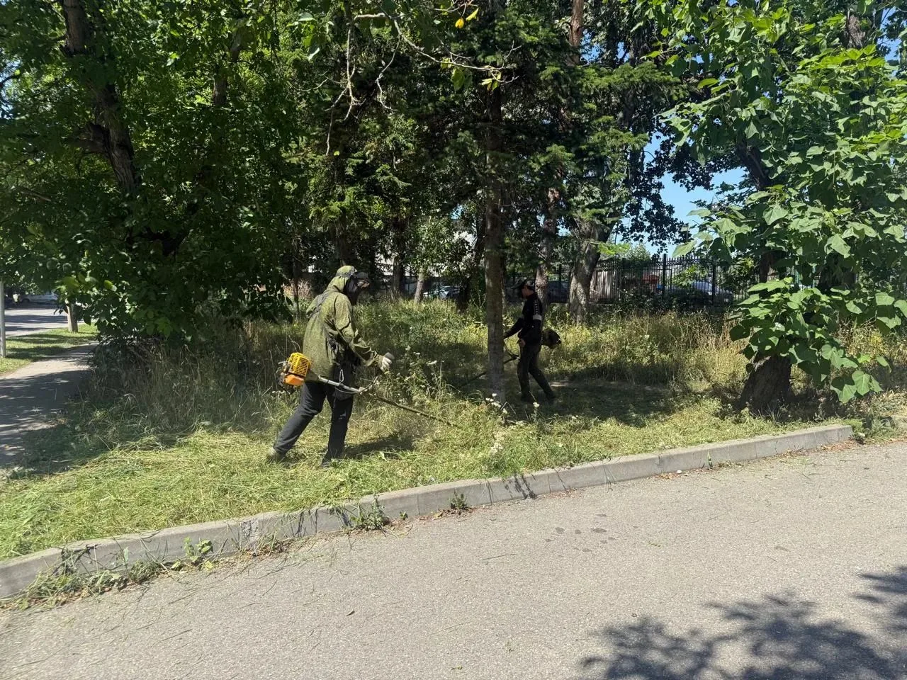 Приятно, когда реакция идёт незамедлительно.