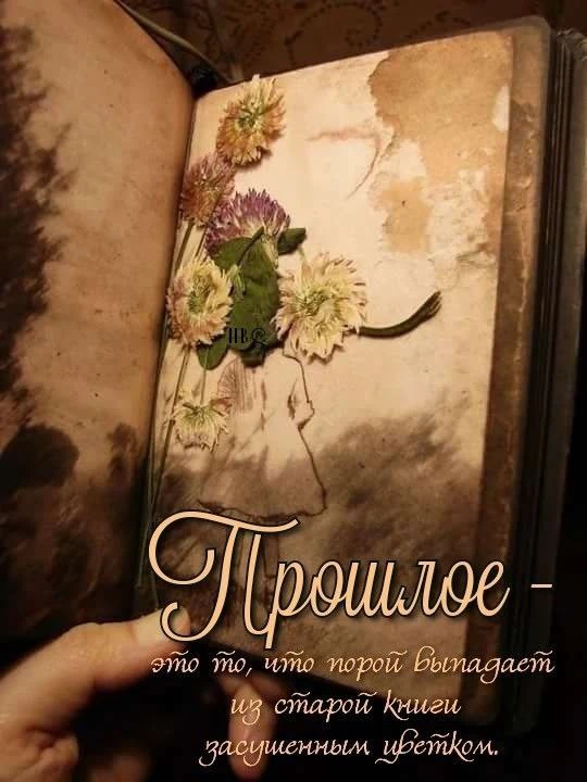 Мудрые мысли