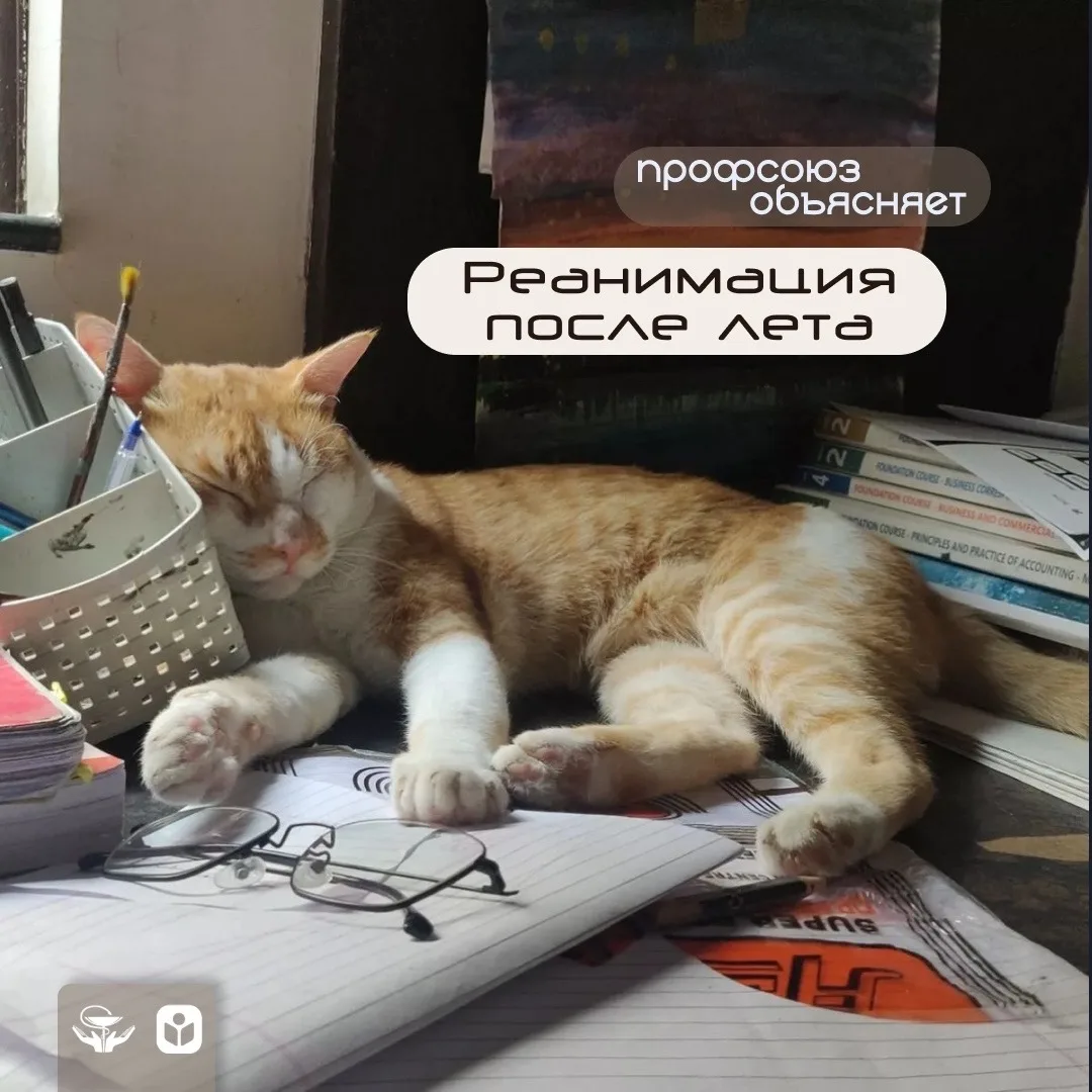 ✍ Совсем скоро наступит новый учебный год. Знаем, как сложно бывает вливаться в студенч...
