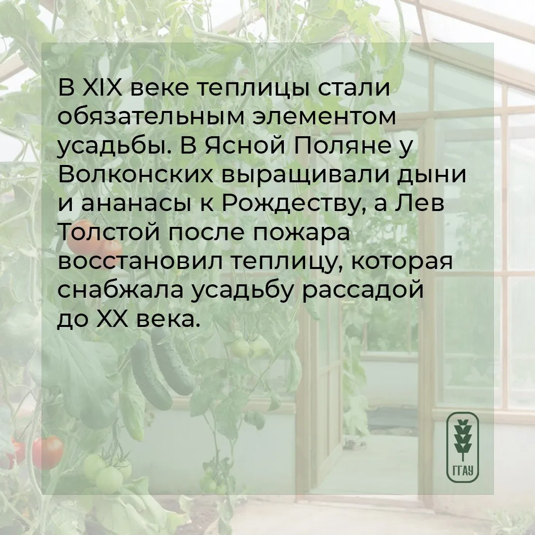 😉 Для одних понедельник – день тяжелый, а мы его сделаем – полезным и интересным. И расскажем о… пол