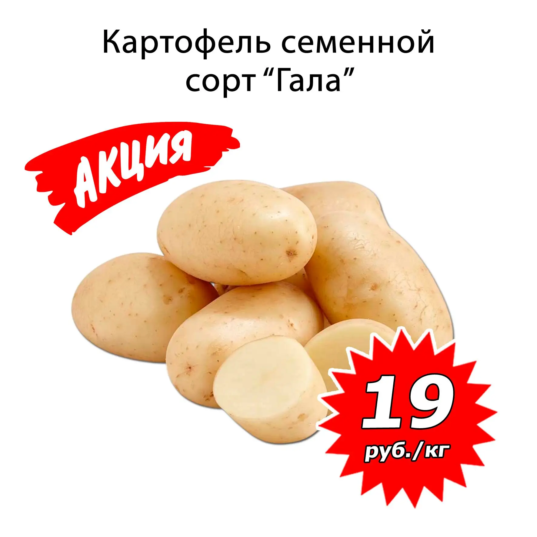 СУПЕР-ЦЕНА на семенной картофель сорта Гала!