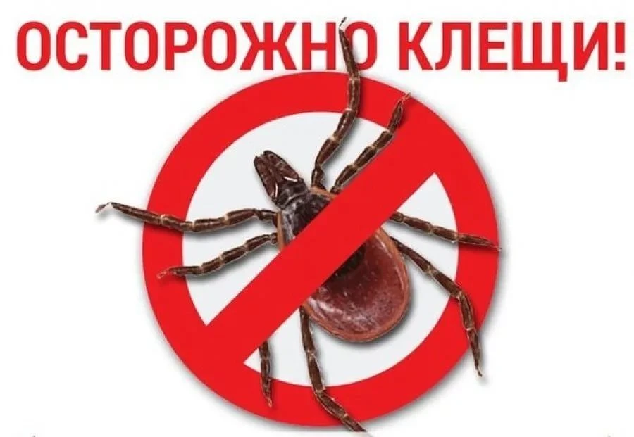 ВНИМАНИЕ!!!
Начинается сезон активности клещей!
Для обработки территории многоквартирного дома от кл