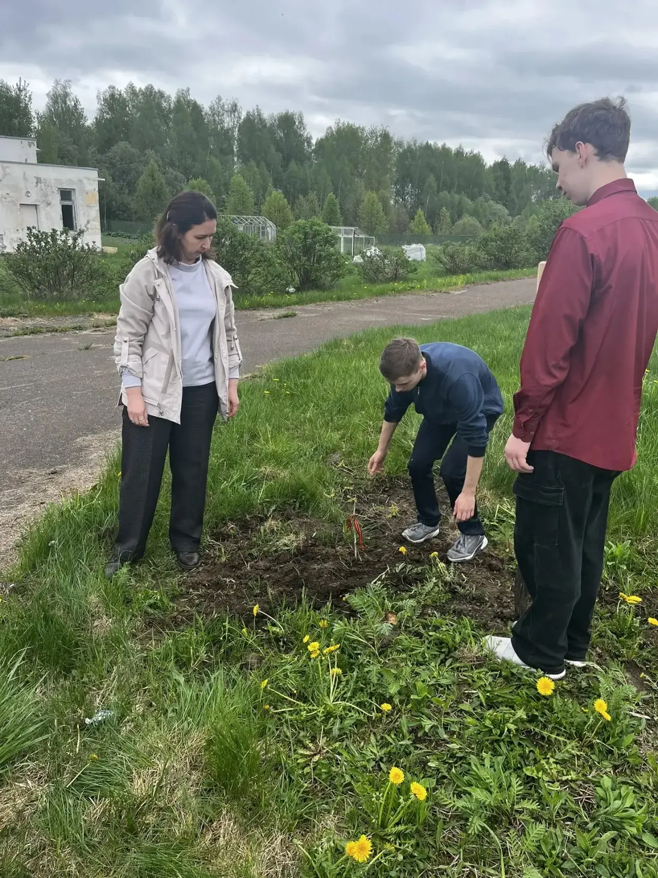 🌳 Сад Победы в Романовской школе!