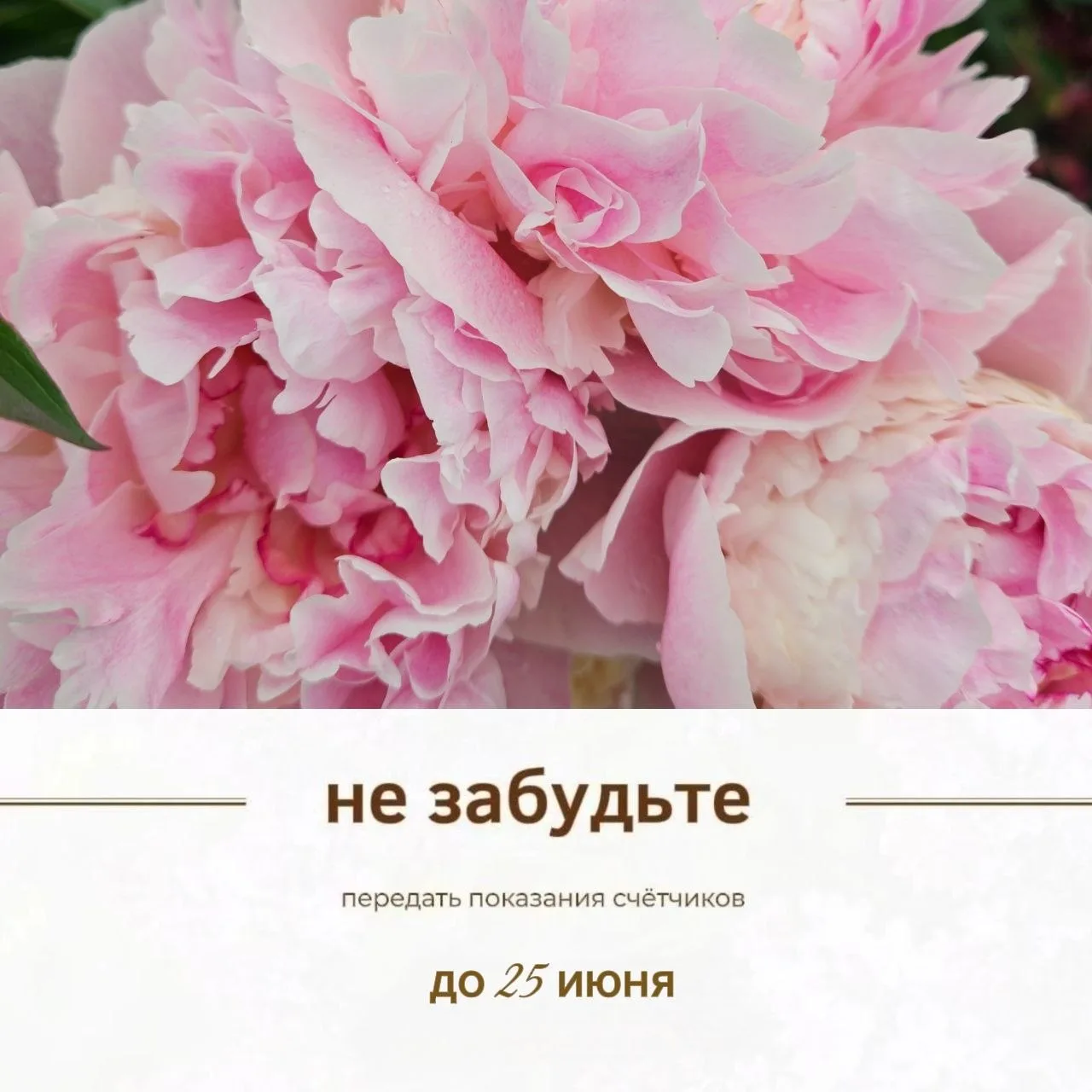 🗓 Пришло время подавать показания индивидуальных приборов учёта. 

Сделать это можно:

▪️ заполнить