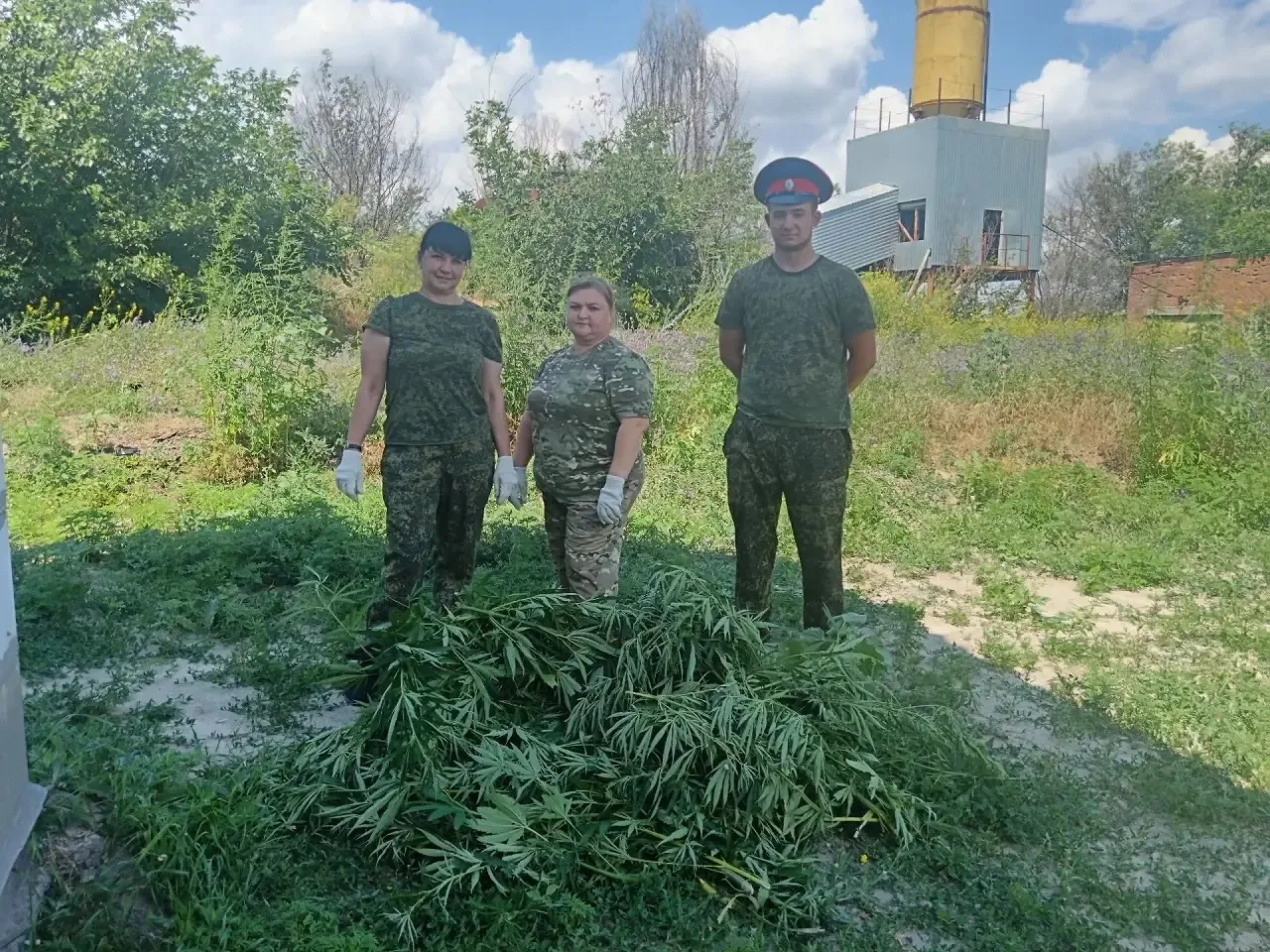 📍В нашем поселении прошла акция «Единый день борьбы с коноплей».