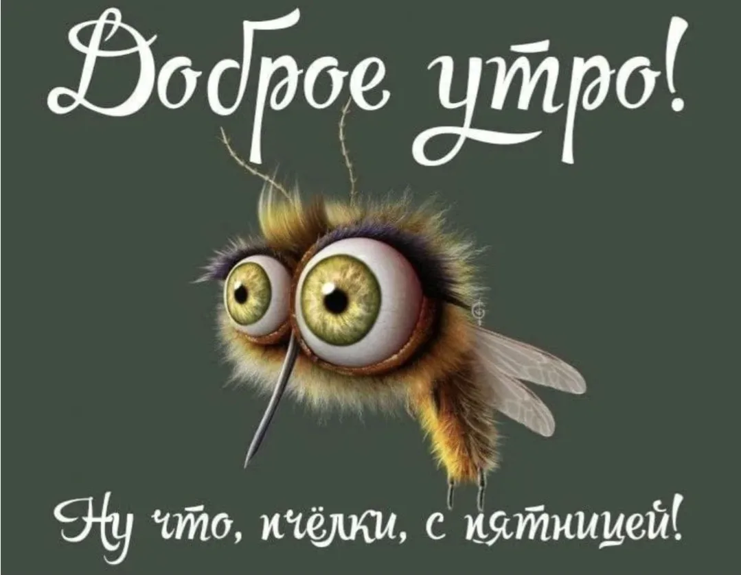 Ну что, пчелки? С пятницей, родные! Домашние джунгли политы, обеды ,ужины  почти готовы...