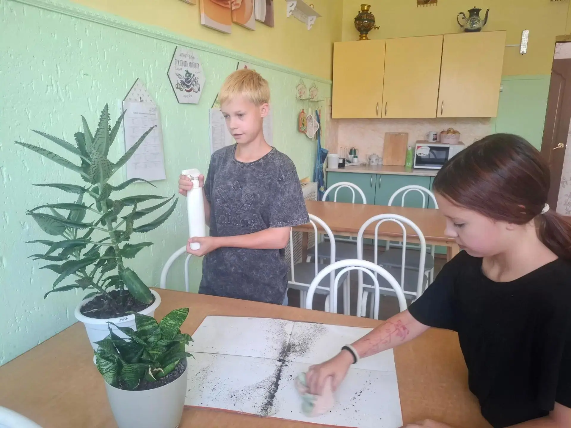 Зеленые друзья.