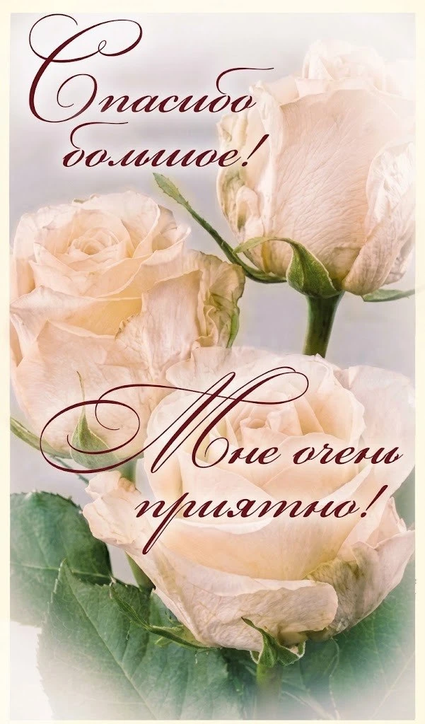 😊 #спасибо