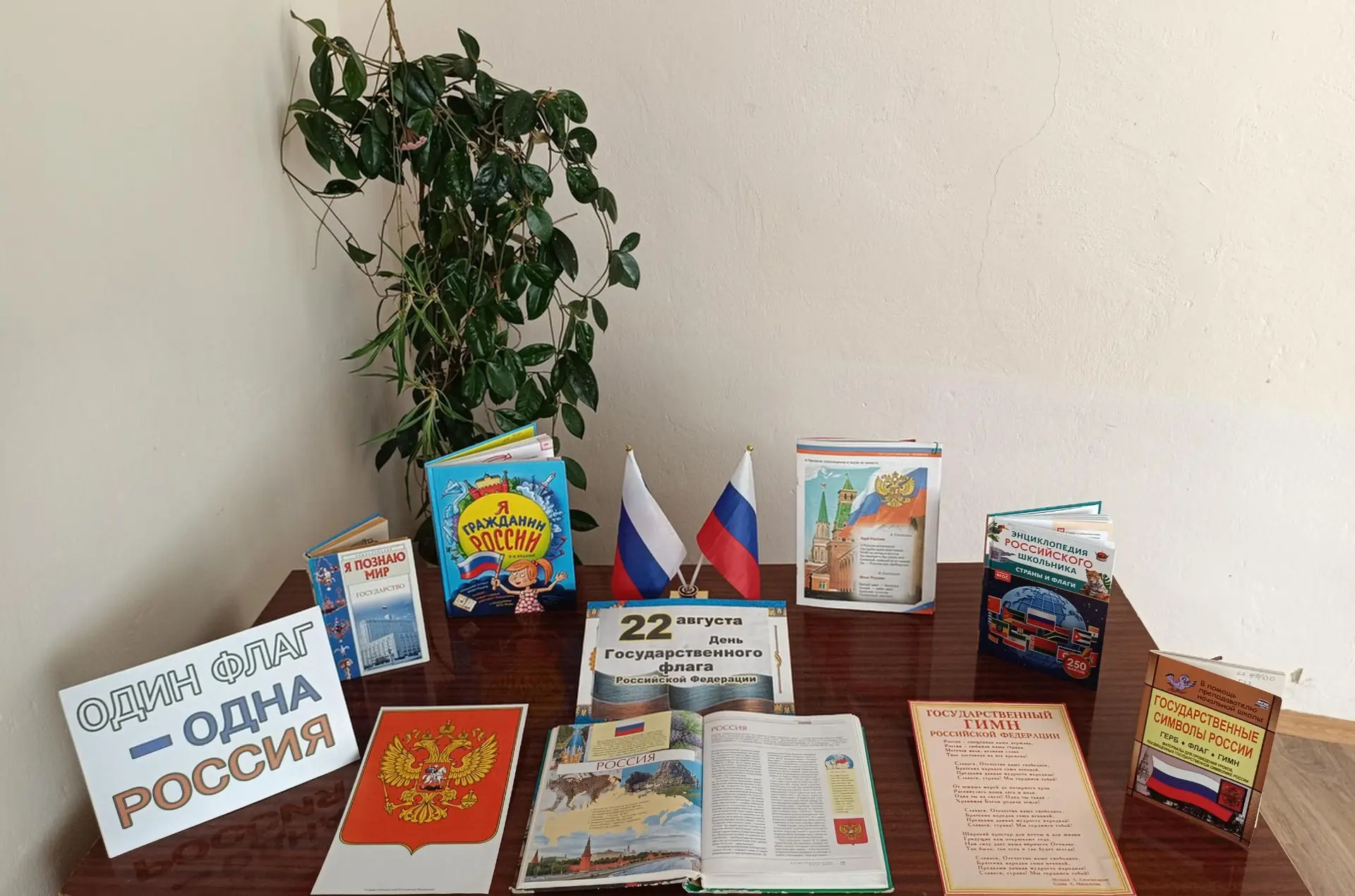 🇷🇺 «Один флаг — одна Россия»