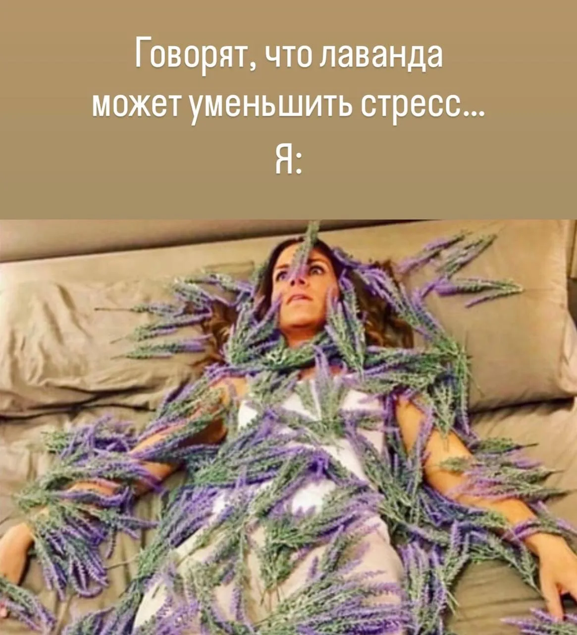 Ну, кто?