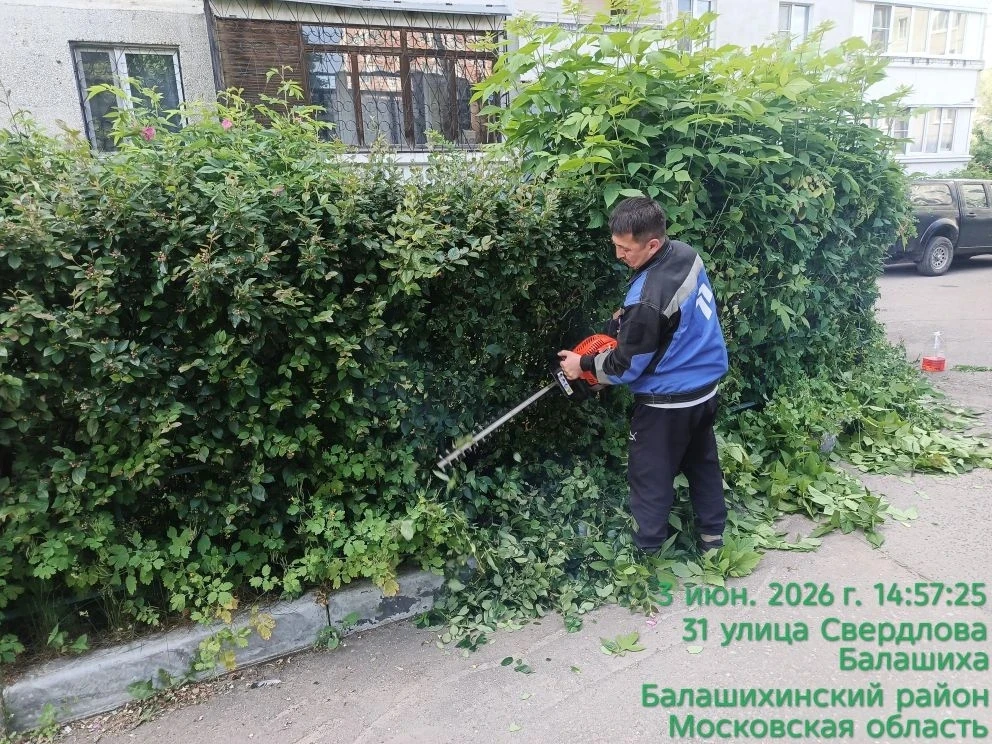 Выполняются работы по подстрижке кустов по адресу улица Свердлова дом 31