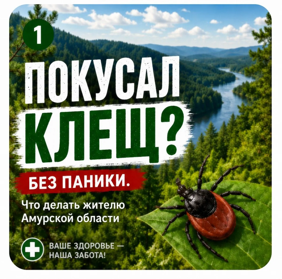 🕷️ Шашлыки на природе и… незваные гости на коленке
Друзья, у нас в Амурской области официально откр