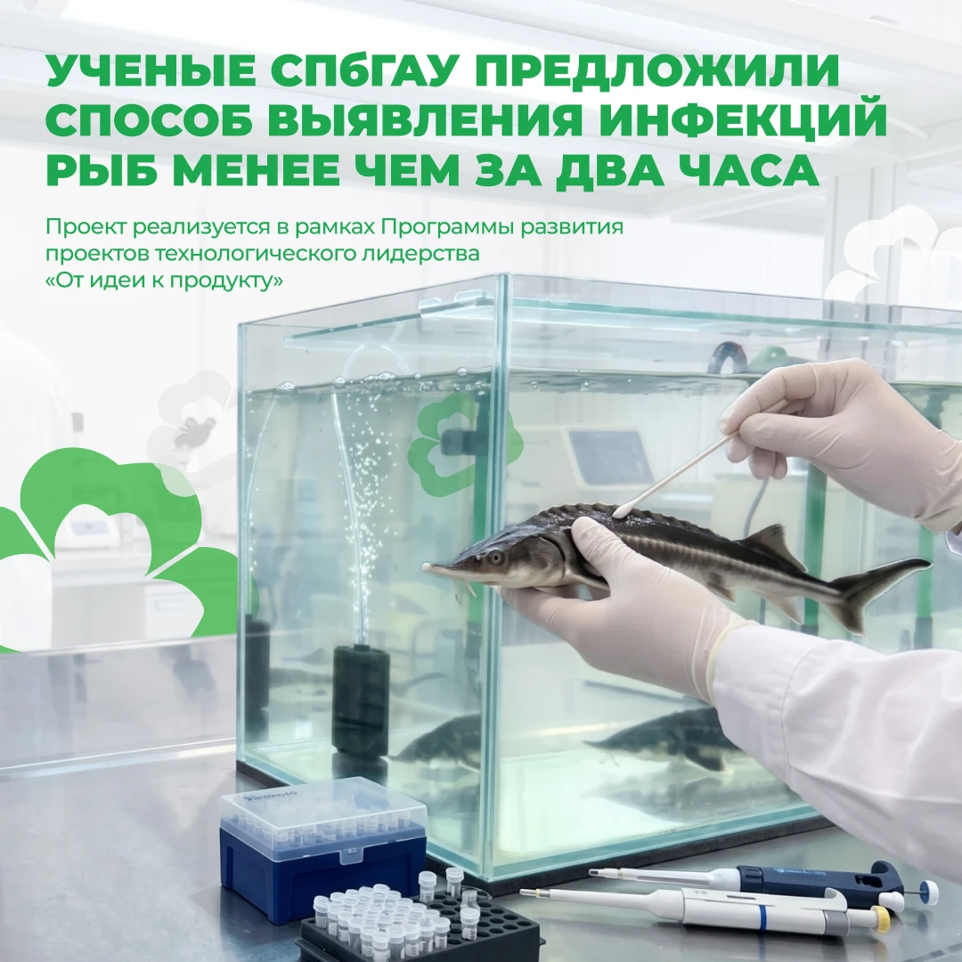 В СПбГАУ нашли как быстро обнаружить инфекцию в рыбоводном хозяйстве