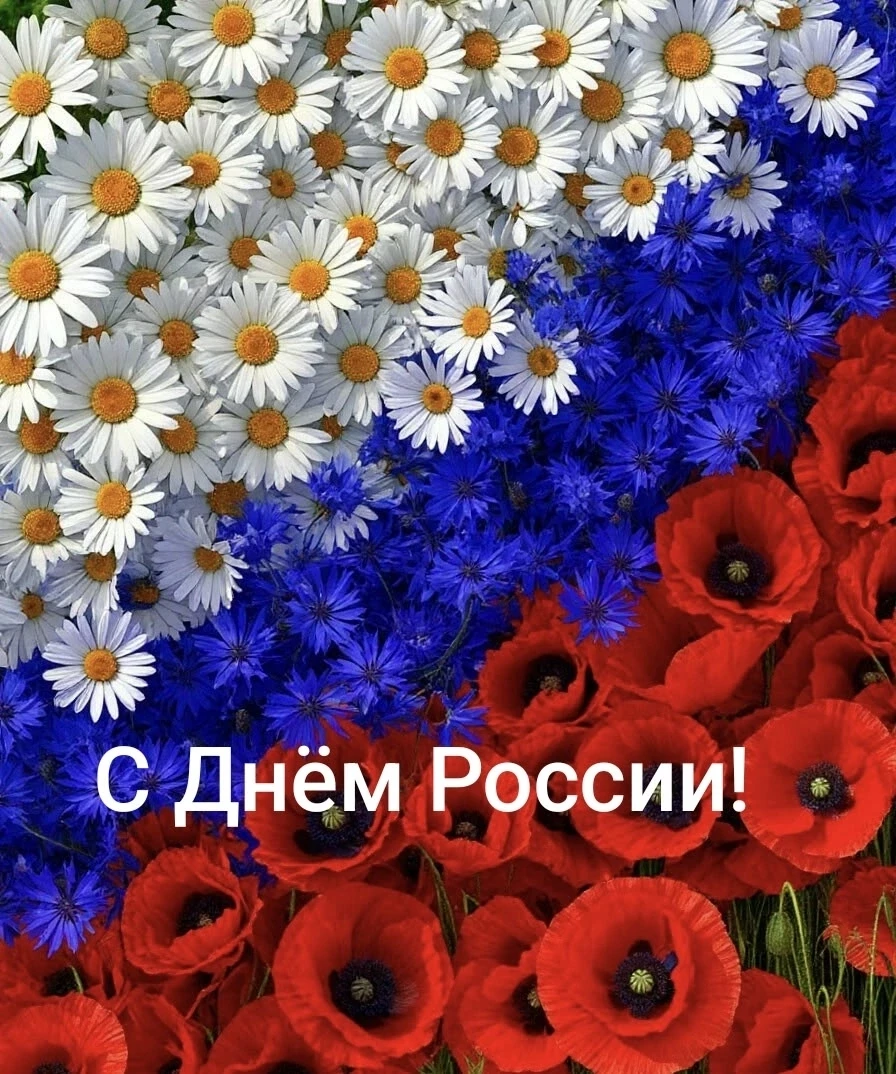 Все ромашки луговые, 
Полевые васильки, 
Маки, ландыши лесные-
Для моей родной страны! 
С Днëм рожде