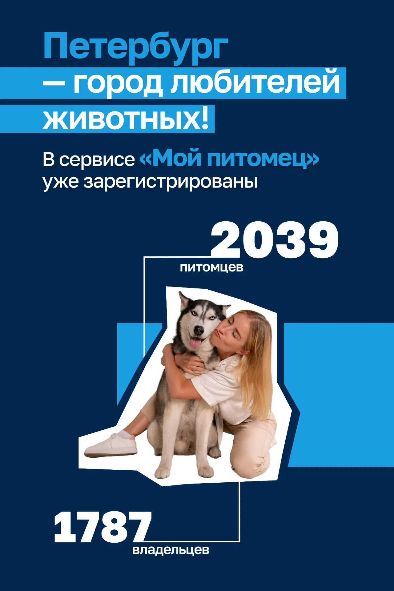 Посчитали домашних любимцев в сервисе «Мой питомец» и собрали из цифр небольшой портрет...