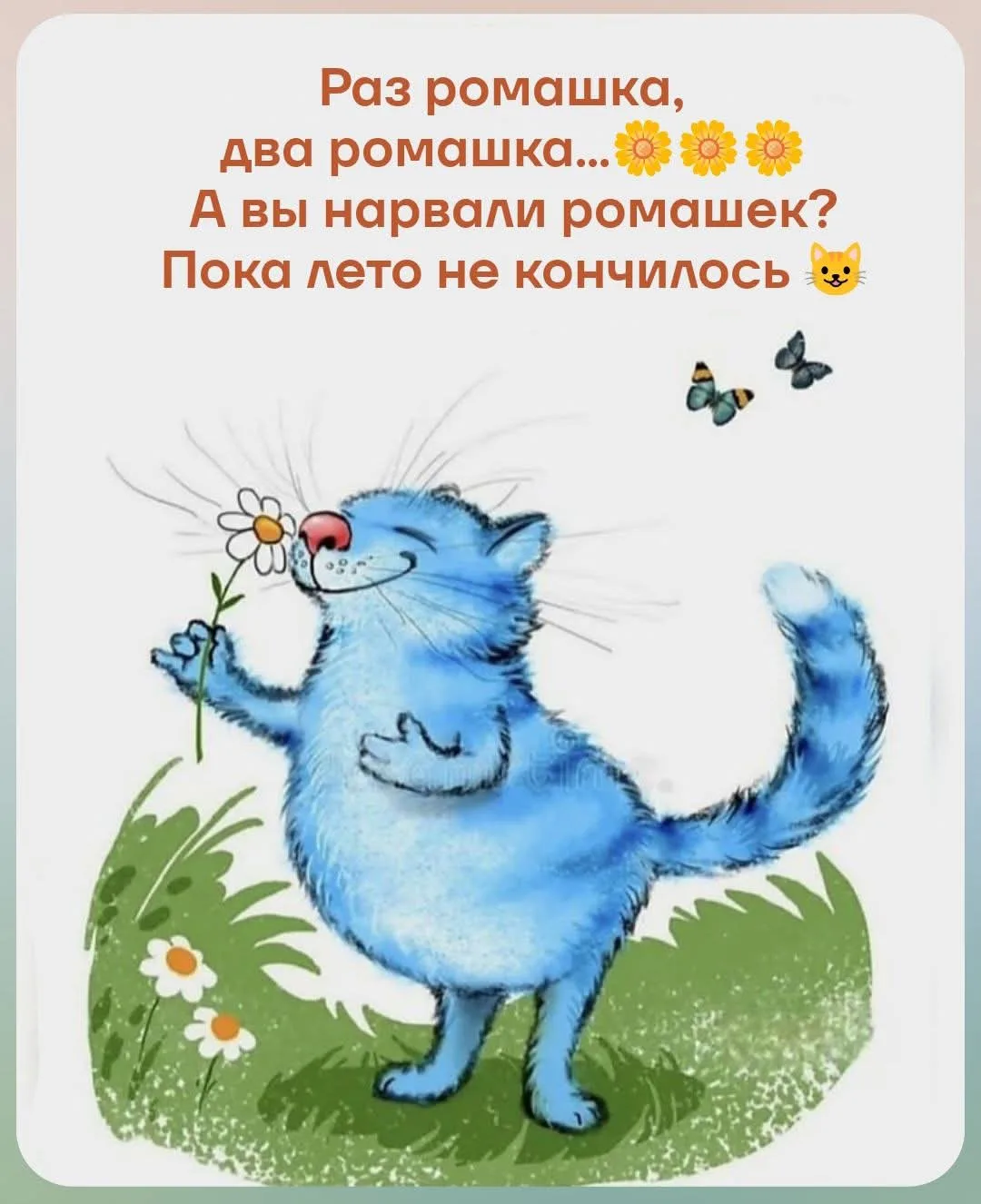 Ромашка, излучая свет,
На солнышко похожая,
Спешит везде за нами вслед,
Своя, не перехожая. 

До поз