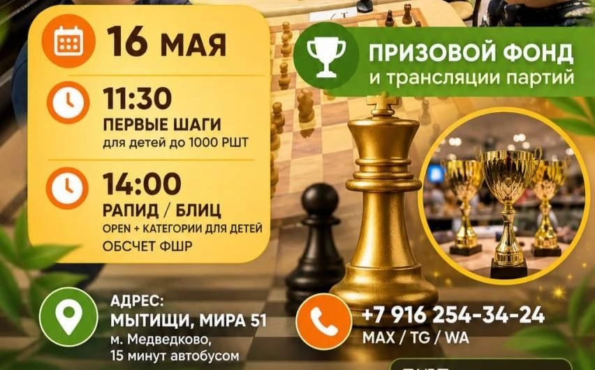 Подтвердить явку утром 16 мая можно онлайн до начала 1 тура