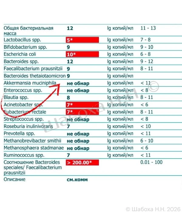•••Опубликовано с разрешения подопечной