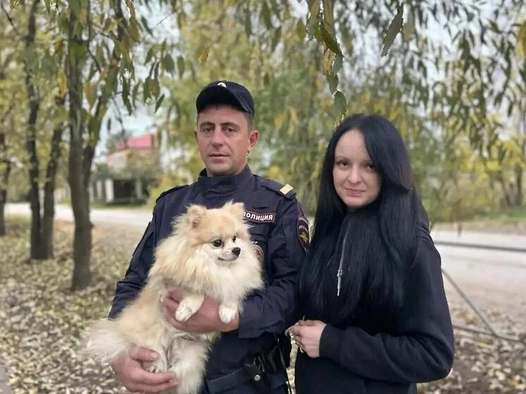 🐶 Герой в погонах: великолукский полицейский спас маленького шпица от огромной овчарки