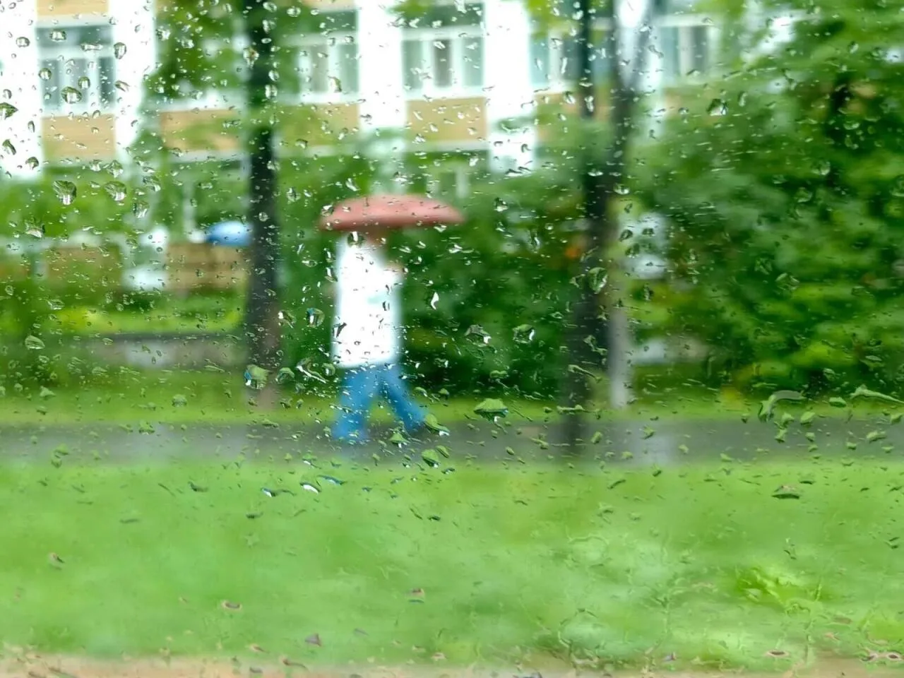 🌧 Внимание, Пермский край! 
 
РСЧС предупреждает: 1 августа (утром и днём) и ночью 2 августа местам