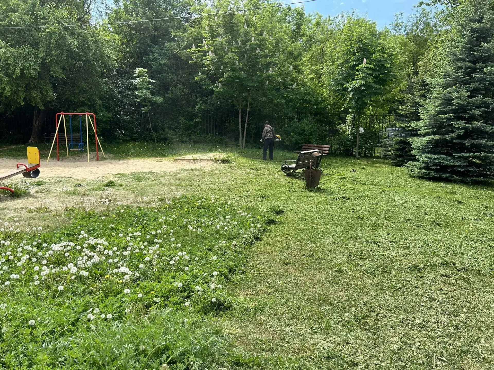 🌱 Дела текущие!