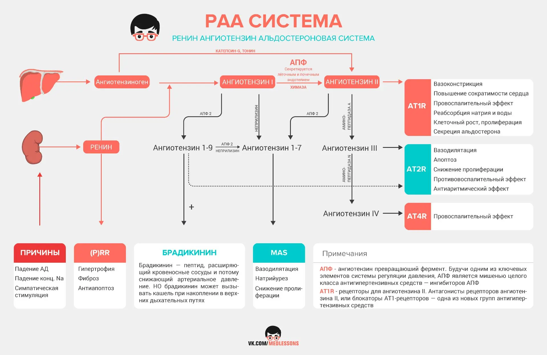 PAA система