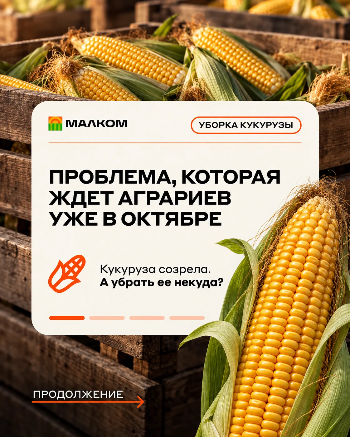 🚜 Комбайны готовы. Кукуруза созрела. А темп уборки диктует сушилка.