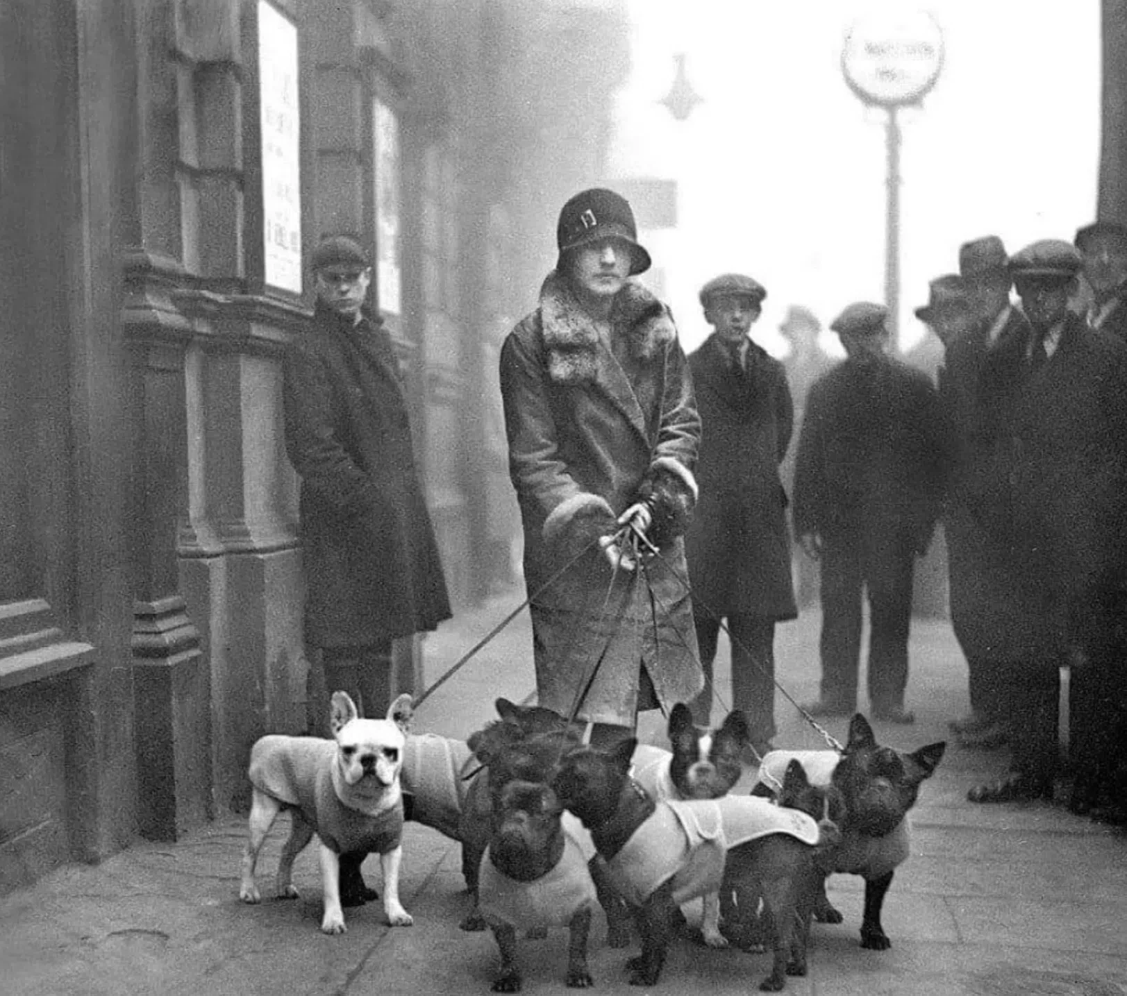 Лондон 1910 год. 🤗

🔥Французский бульдог в MAX
