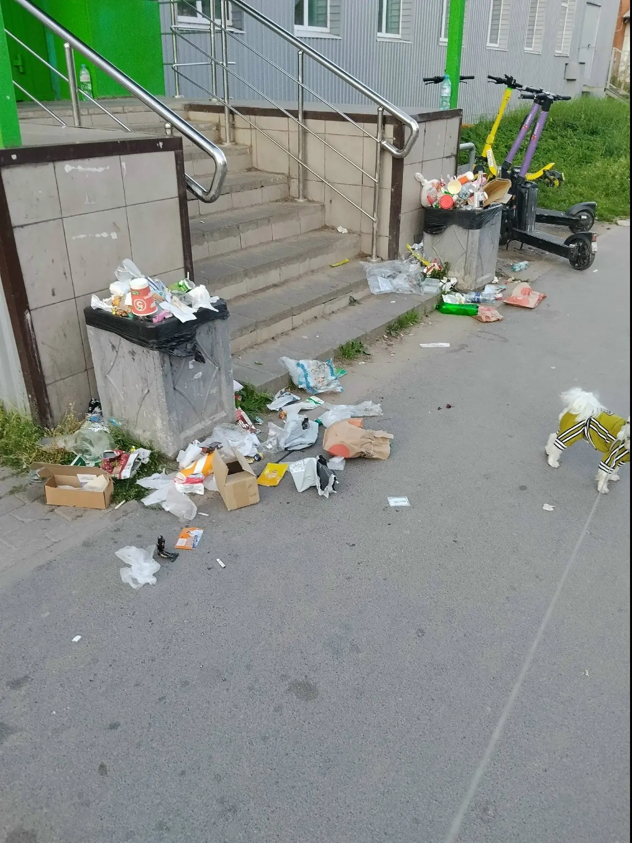 Два дня безобразие на входе в здание Пятерочка на Алтаева 5