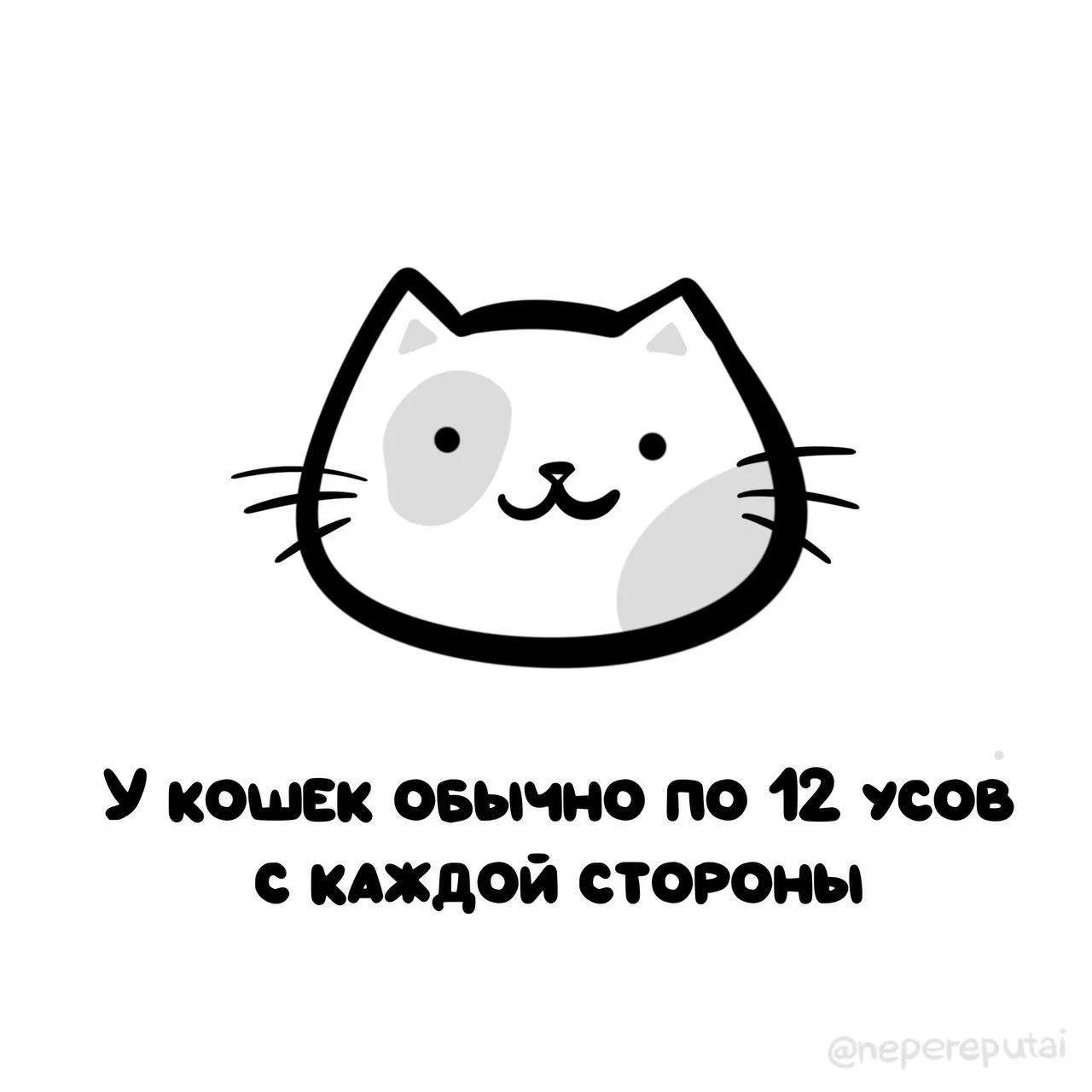 Посчитать усы после прочтения…🏃🏽‍♀️

Мы в МАХ