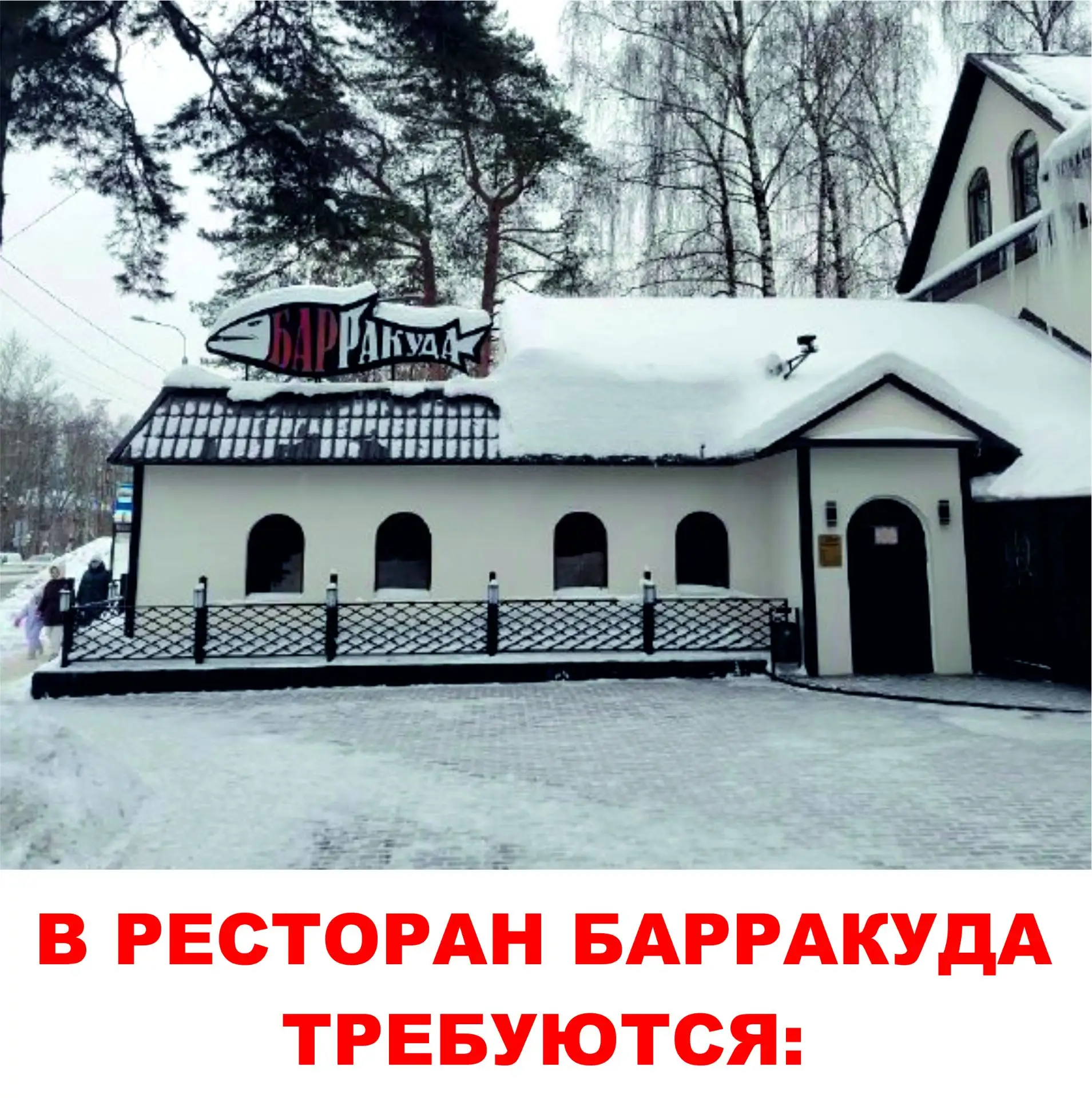 Приглашаем в команду ресторана "Барракуда"