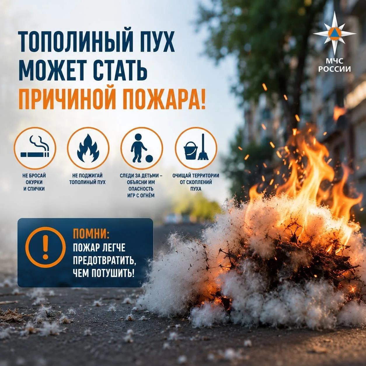 Тополиный пух может стать причиной пожара!