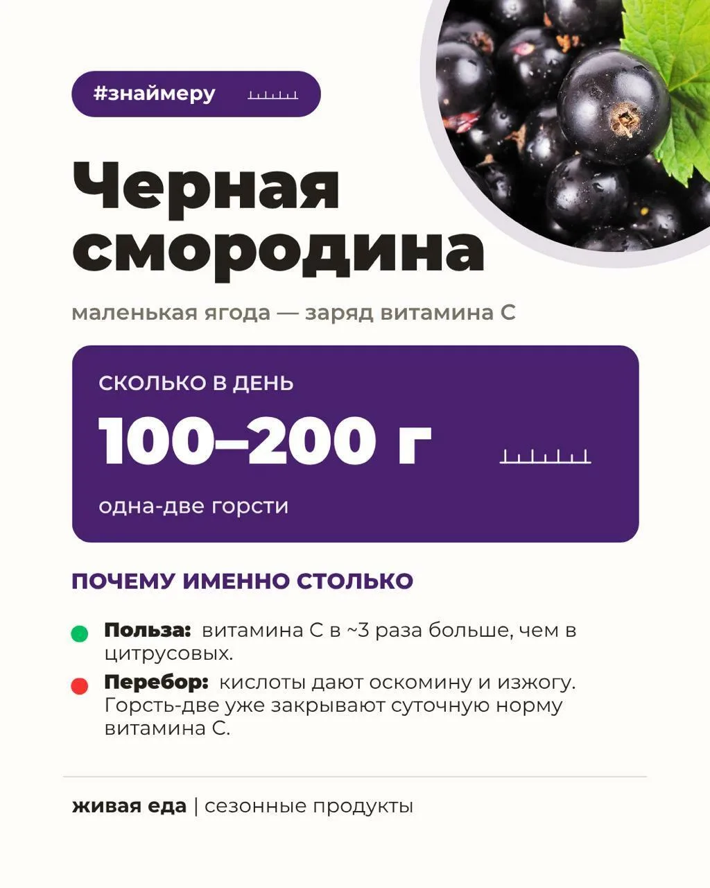 Изображение 1 к публикации «Живая еда с Сергеем Малозёмовым»