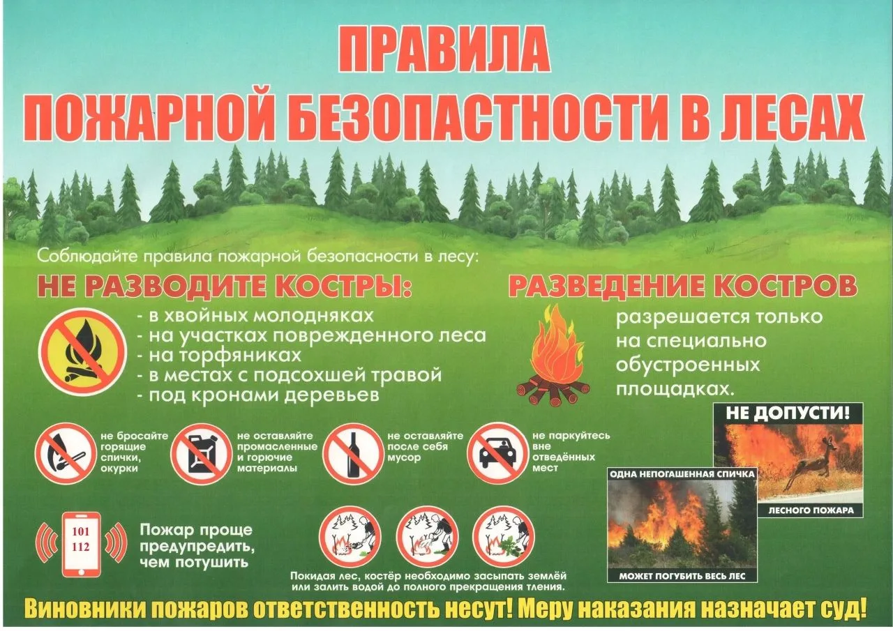 Правила поведения при лесных пожарах
