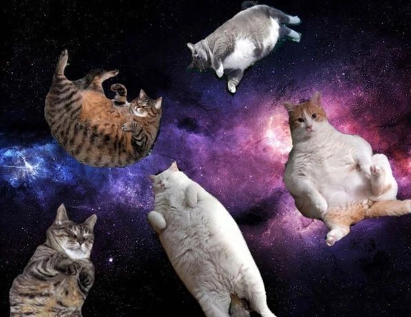 Фото