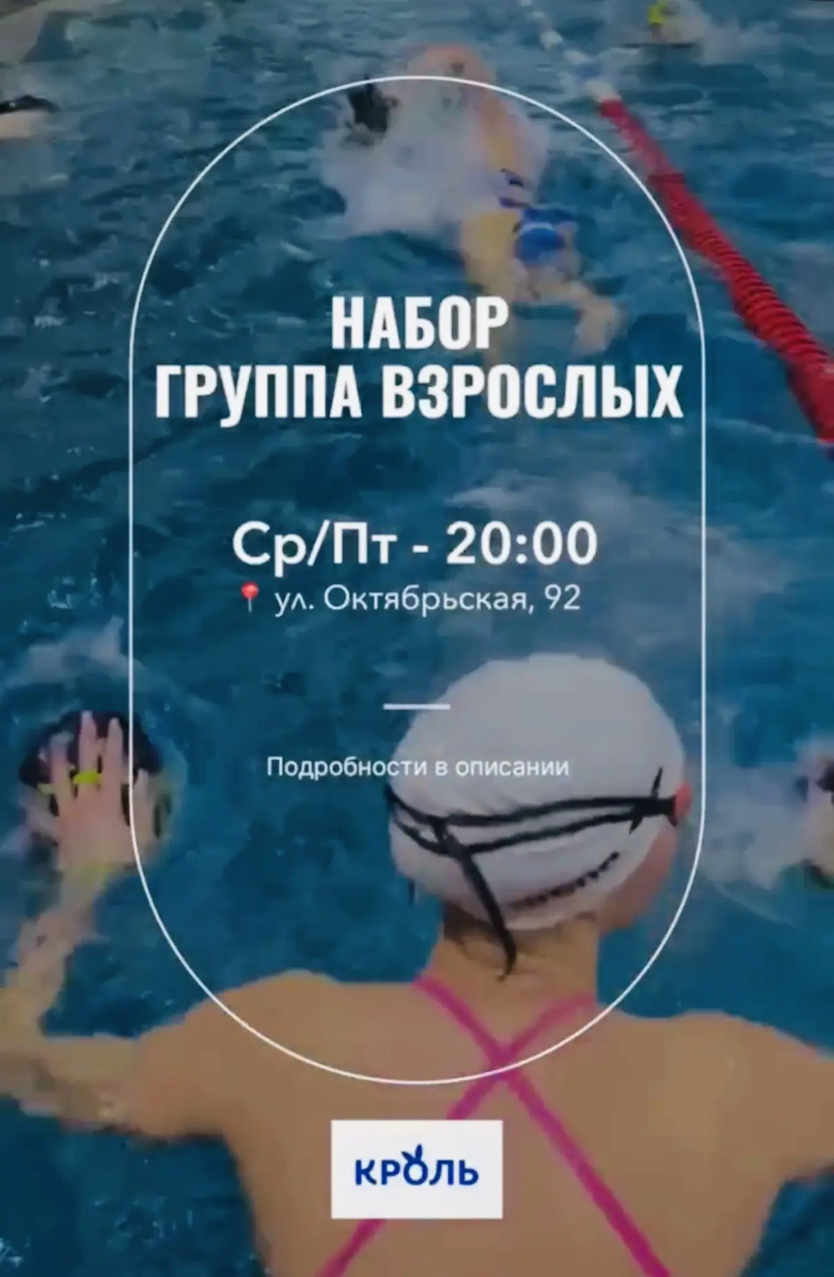 #КрольНабор