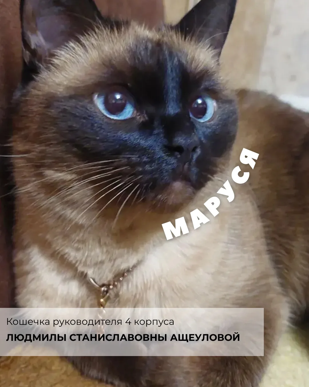 Изображение 3 к публикации «Бауманская инженерная школа №1580»