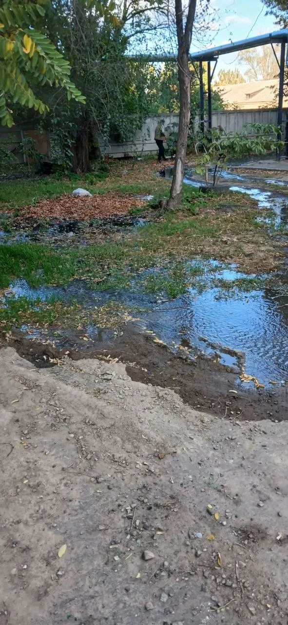 На Линева за общагой вода льется вторые сутки... А город без воды страдает