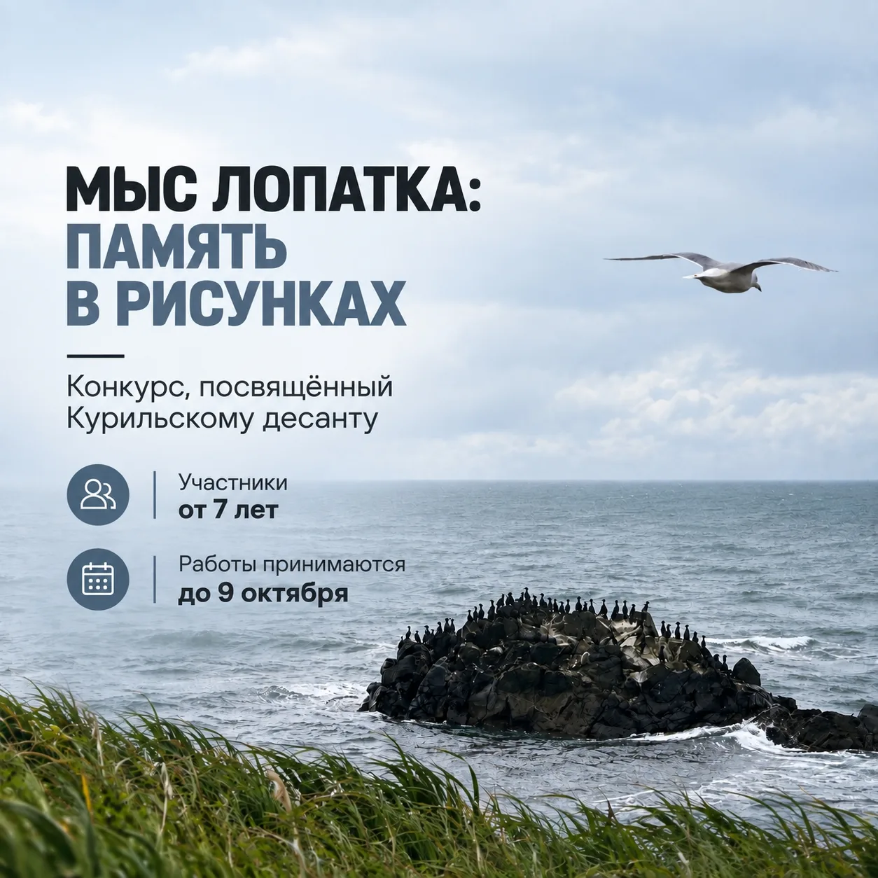 🎨 Жителей Камчатки приглашают принять участие в конкурсе рисунков, посвященном Курильс...
