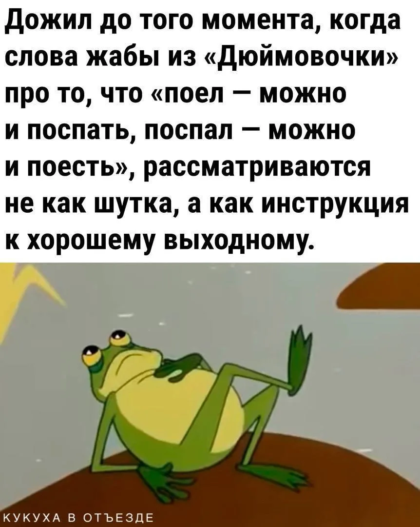 Кукуха в отъезде 🐦
